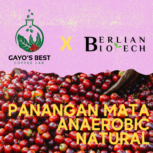 Limited Release - Gayo Pegasing Anaerobic Natural (Experimental)