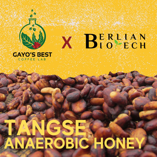 Limited Release - Tangse Honey (Experimental)