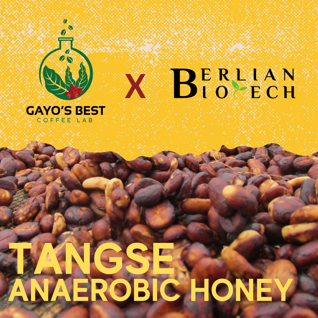 Limited Release - Tangse Honey (Experimental)